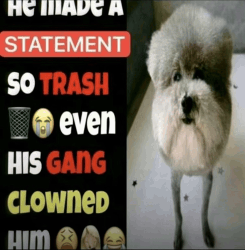 "He Made a Statement So Trash" Meme, Explained