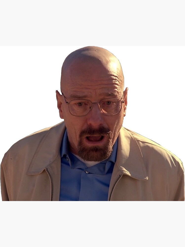 Walter White Meme, Explained