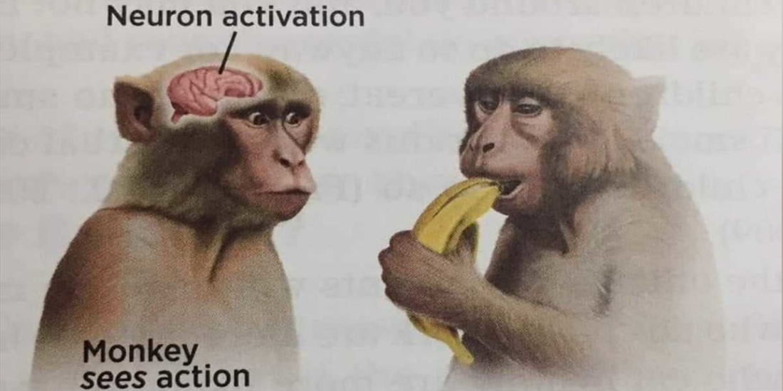 Neuron Activation Meme, Explained