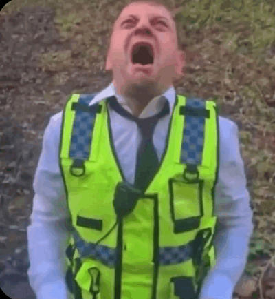 "Crashout" Meme, Explained