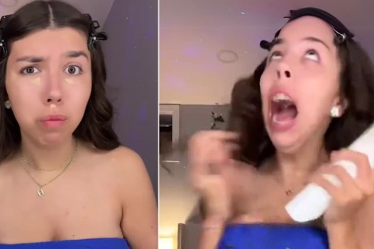 Fine Shyt Meme, Explained