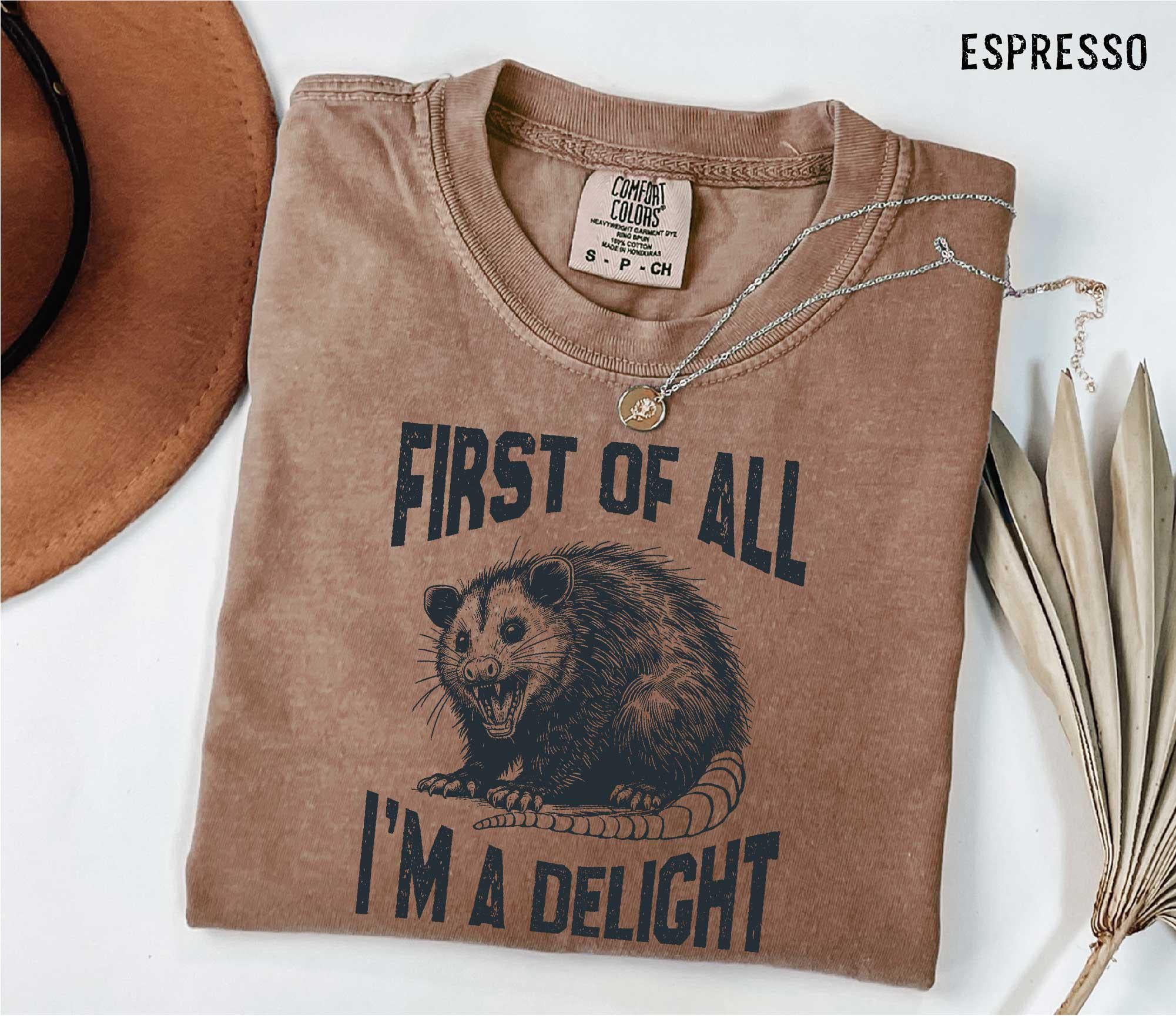 Funny Raccoon T-Shirt for Women: Comfort Colors® 1717 Unisex Garment-Dyed Tee by SwiftPOD, Perfect Gift or Casual Outfit