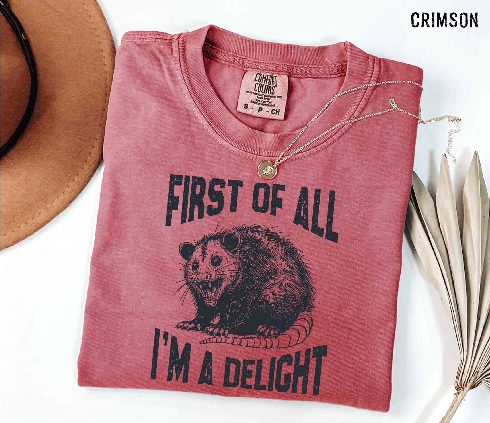 Funny Raccoon T-Shirt for Women: Comfort Colors® 1717 Unisex Garment-Dyed Tee by SwiftPOD, Perfect Gift or Casual Outfit