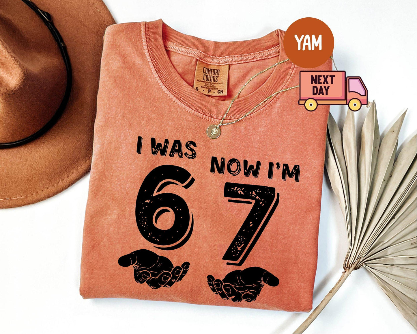 Comfort Colors® 1717 Unisex Garment-Dyed T-shirt, Funny 7th Birthday Meme Shirt, SwiftPOD Kids Gift, Trendy Outfit for Boys and Girls