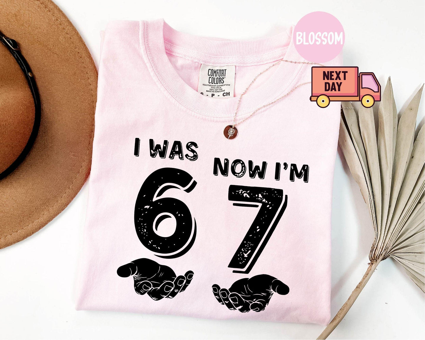 Comfort Colors® 1717 Unisex Garment-Dyed T-shirt, Funny 7th Birthday Meme Shirt, SwiftPOD Kids Gift, Trendy Outfit for Boys and Girls