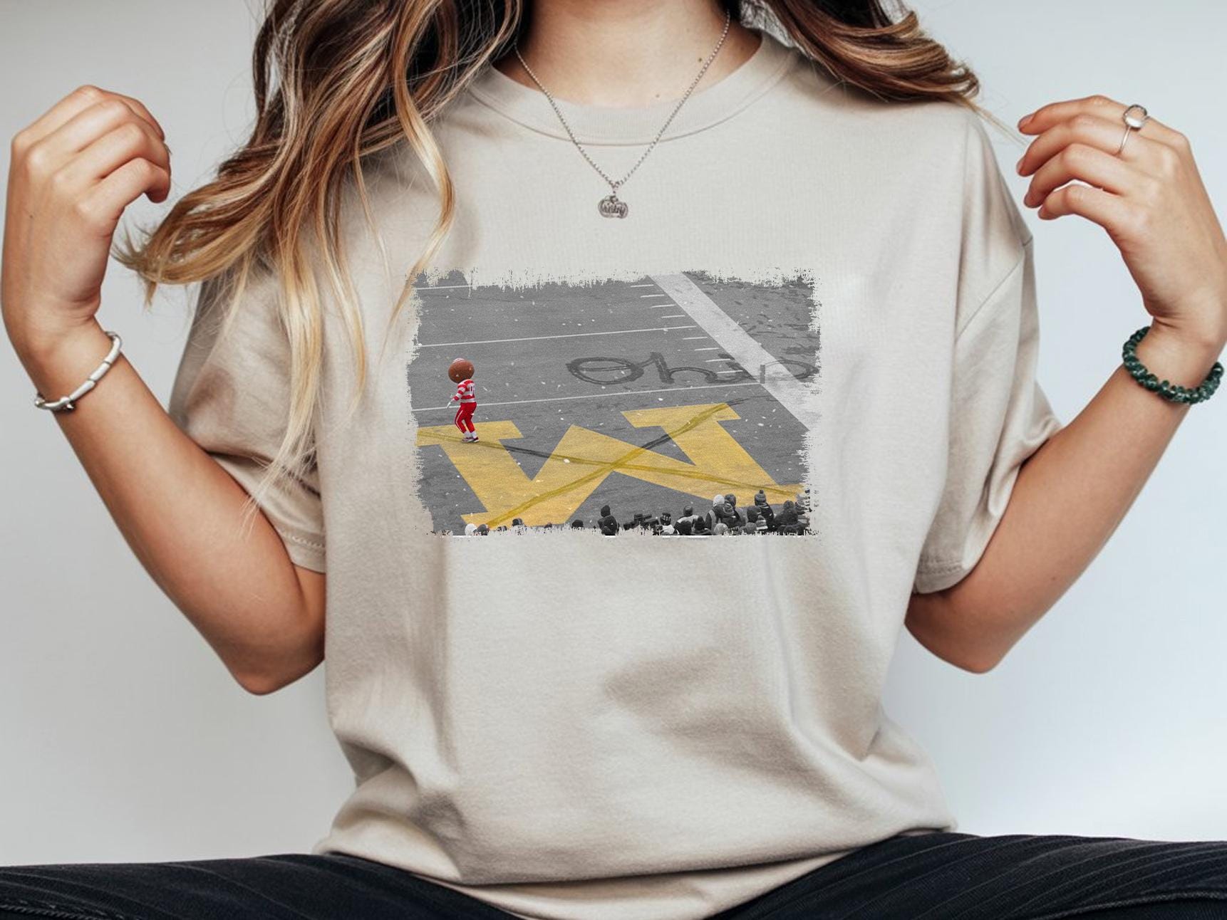 Gildan 5000 Unisex Heavy Cotton Tee, Ohio State Brutus Snow Shirt, Perfect Buckeye Fan Gift, Comfort Color Erase The M, Printify Choice